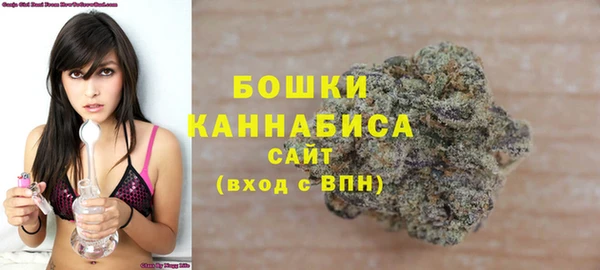 Альфа ПВП Горно-Алтайск