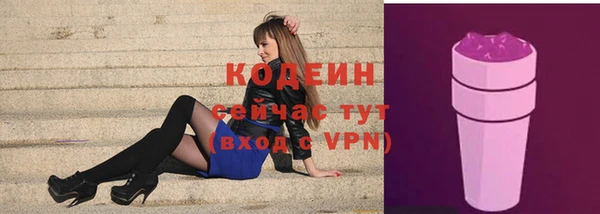 СК Вязьма