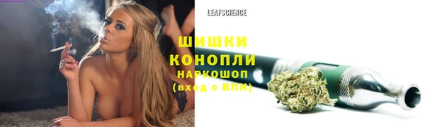Альфа ПВП Горно-Алтайск