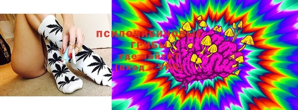 прущие крисы Вяземский