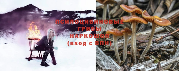 Альфа ПВП Горно-Алтайск